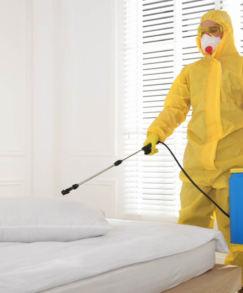 Professional Pest Control Team in Clarendon